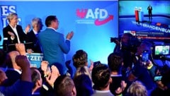 Jubel bei der AfD Brandenburg nach der Wahl im September des Vorjahres – nun gilt der Landesverband als „gesichert“ rechtsextrem. (Bild: APA/AFP/John MACDOUGALL)