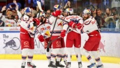 Können die „Bullen“ in der CHL heuer auch jubeln? (Bild: Tröster Andreas)