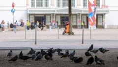 Am Bahnhofsvorplatz kontrollierten Fremdenpolizisten einen Verdächtigen. (Bild: Tröster Andreas)