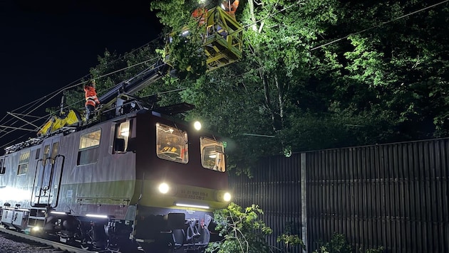Einsatzkräfte von ÖBB und Feuerwehren entfernten den umgestürzten Baum.